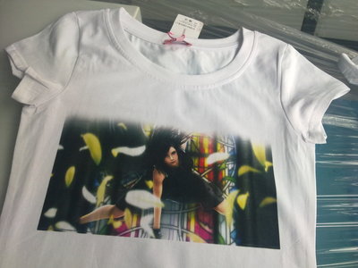 【北京供應(yīng)諾彩深色高檔服裝數(shù)碼直噴打印機(jī)】價(jià)格,廠家,圖片,數(shù)碼印刷機(jī)/萬能打印機(jī),廣州諾彩數(shù)碼產(chǎn)品-